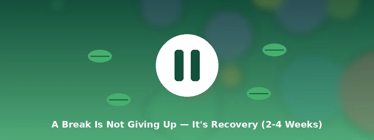 Reset protocol — pause, recover, reconnect with life