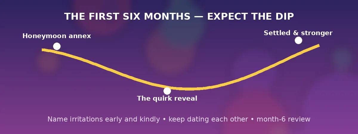 First six months — adjustment curve banner