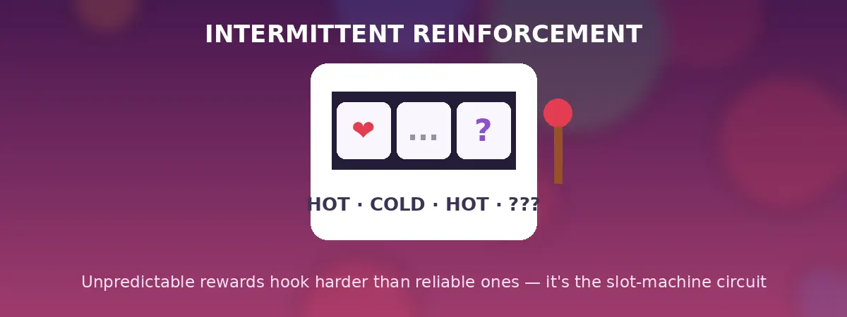 The Slot-Machine Circuit Intermittent reinforcement - the slot machine circuit banner