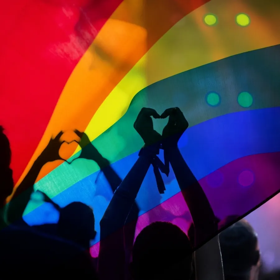 เกย์ฝรั่ง - ความเป็นมิตรและ การยอมรับของสังคมไทย